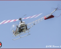 TSR Watermark - 0470